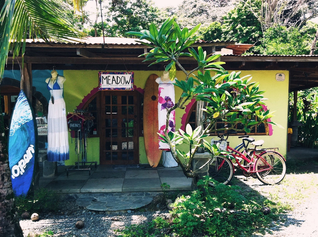 Exploring Our Roots: A Journey of Discovery