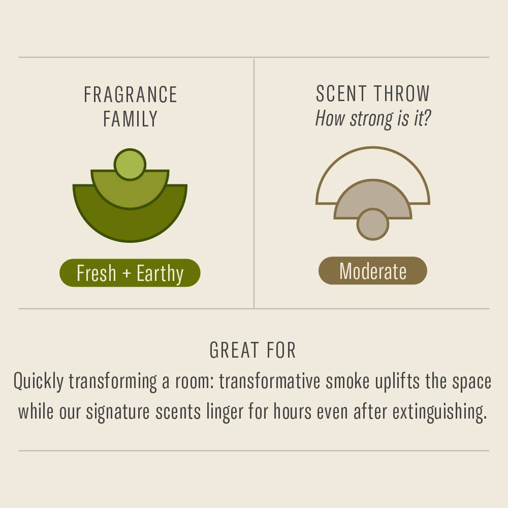 Amber & Moss - Incense - Meadow Collectiveincense