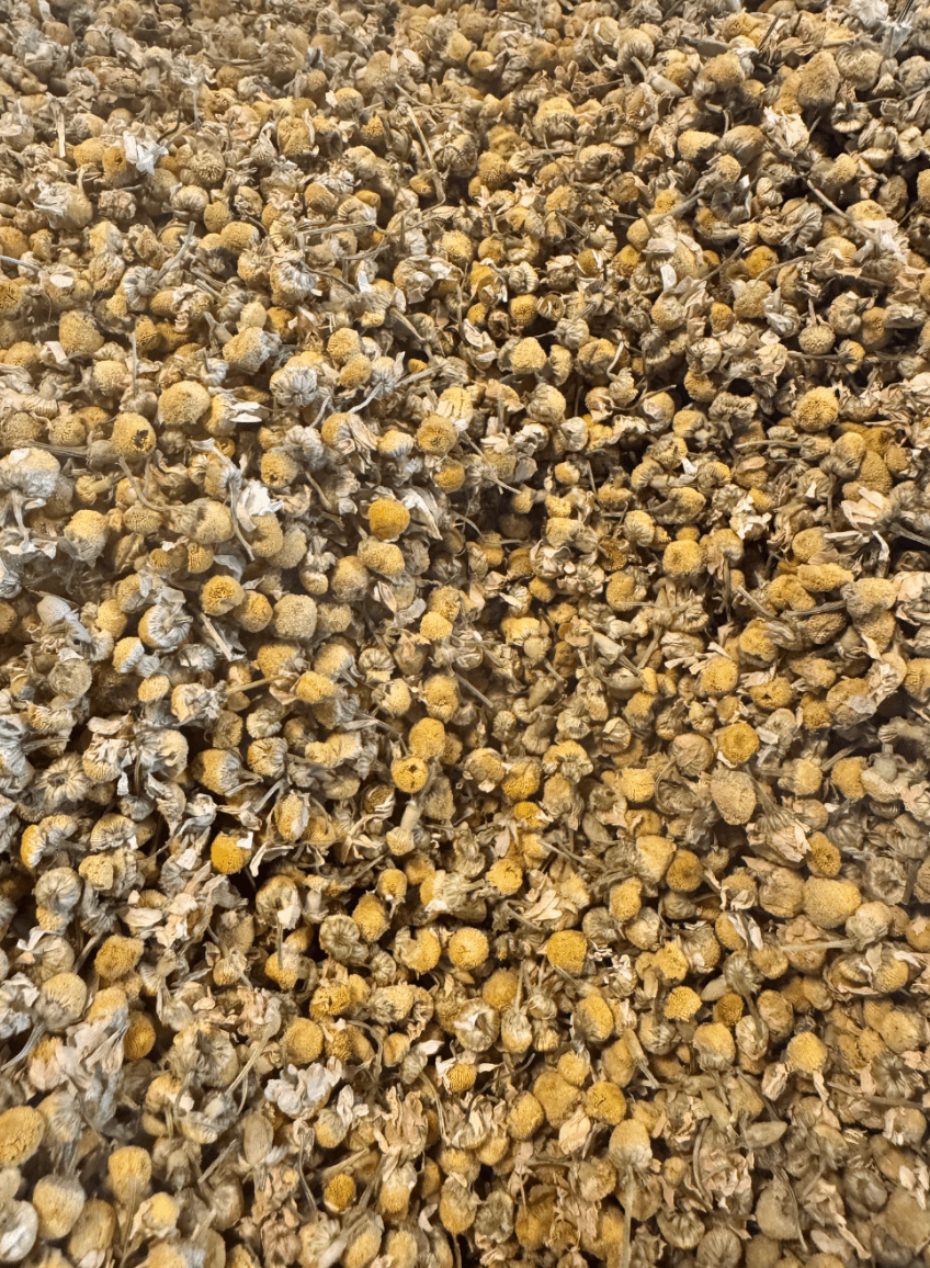 Chamomile Tea Gift Set - Meadow Collectivetea