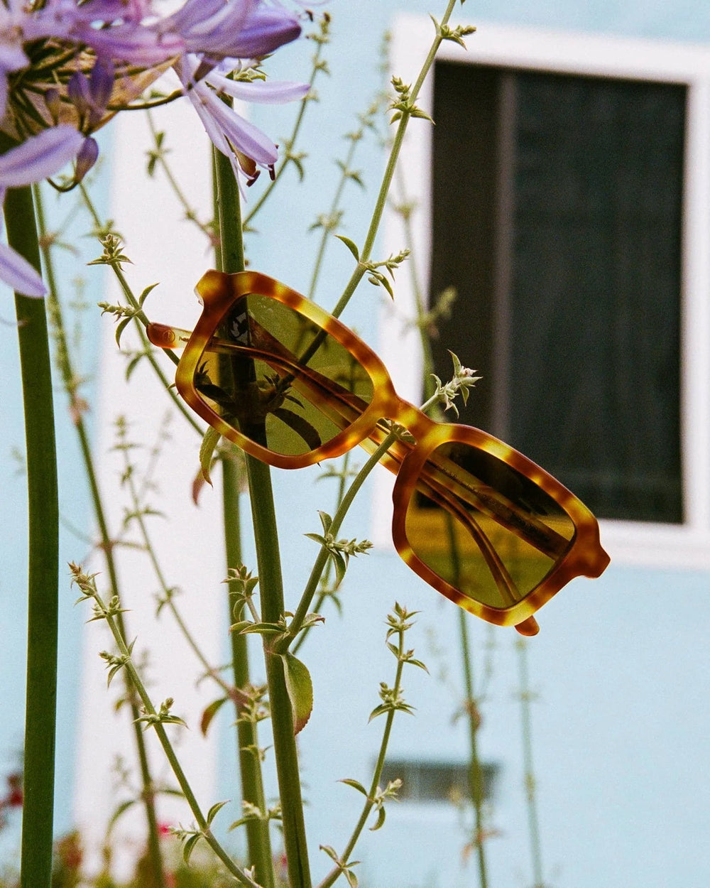 Crap Eyewear The Heavy Tropix - Blonde Tortoise Bio - Meadow CollectiveSunglasses
