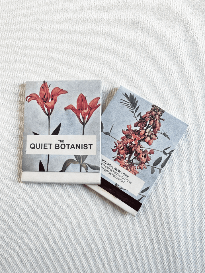 Day Lily - Botanical Matches - Limited Edition - Meadow Collectivematches