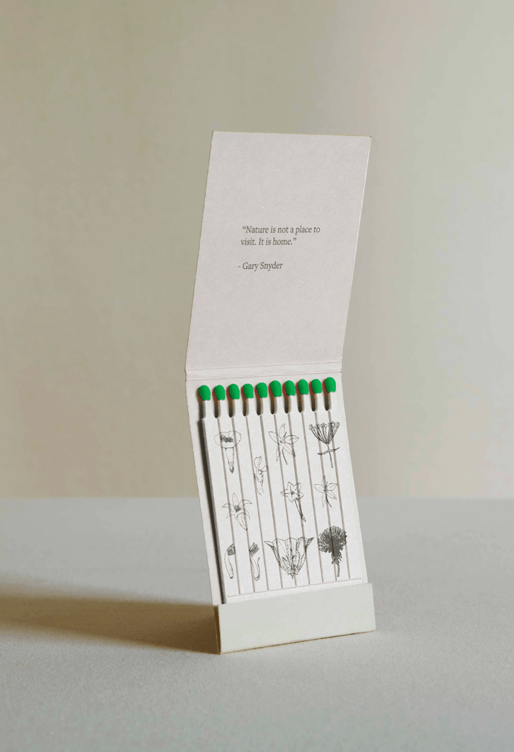 Day Lily - Botanical Matches - Limited Edition - Meadow Collectivematches