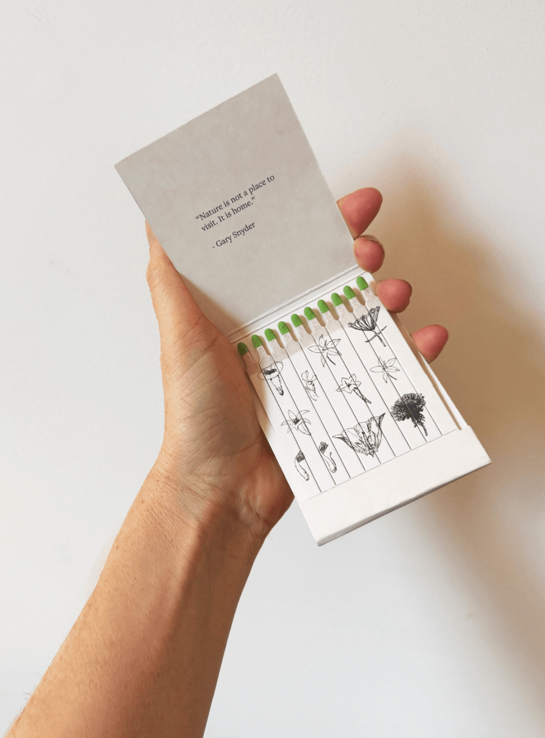 Day Lily - Botanical Matches - Limited Edition - Meadow Collectivematches