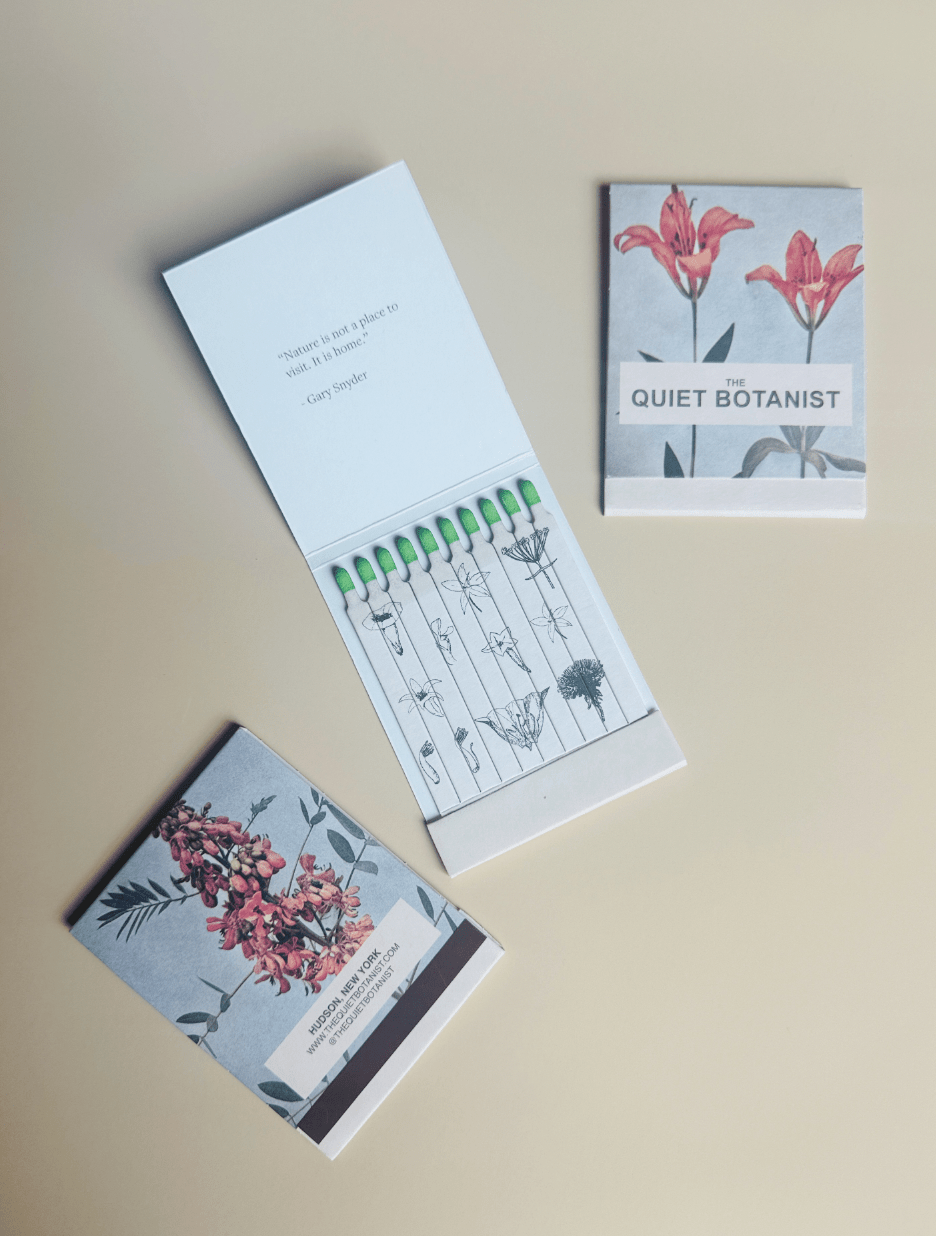 Day Lily - Botanical Matches - Limited Edition - Meadow Collectivematches