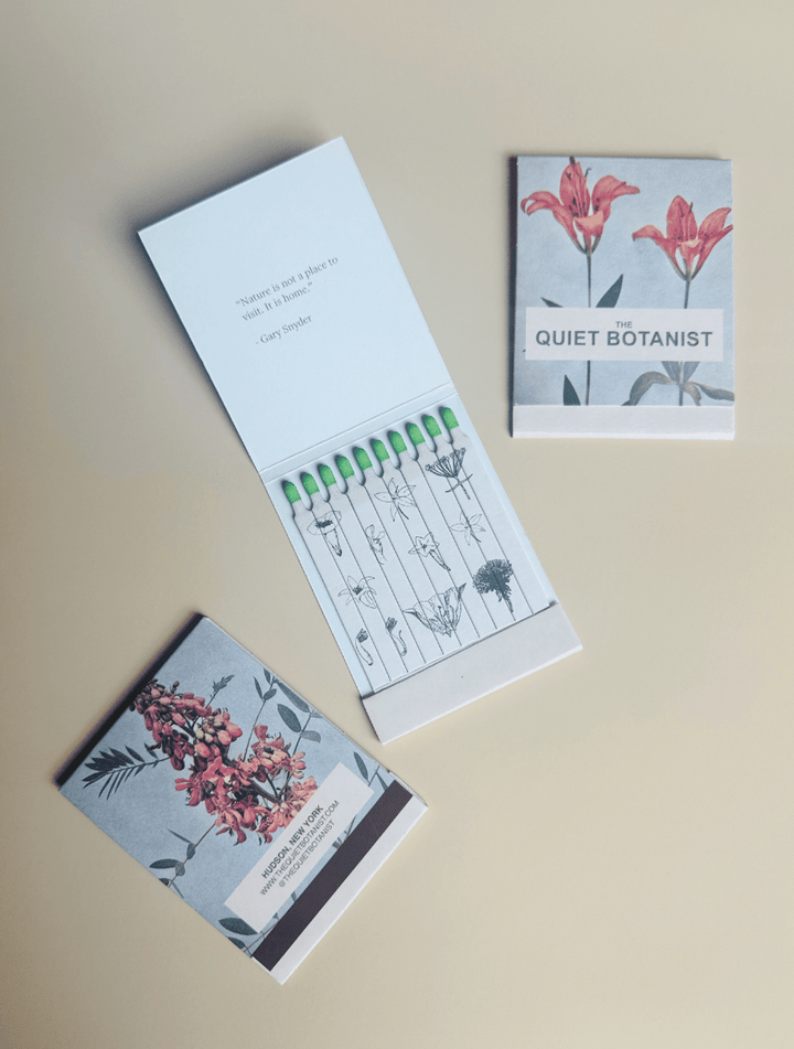 Day Lily - Botanical Matches - Limited Edition - Meadow Collectivematches