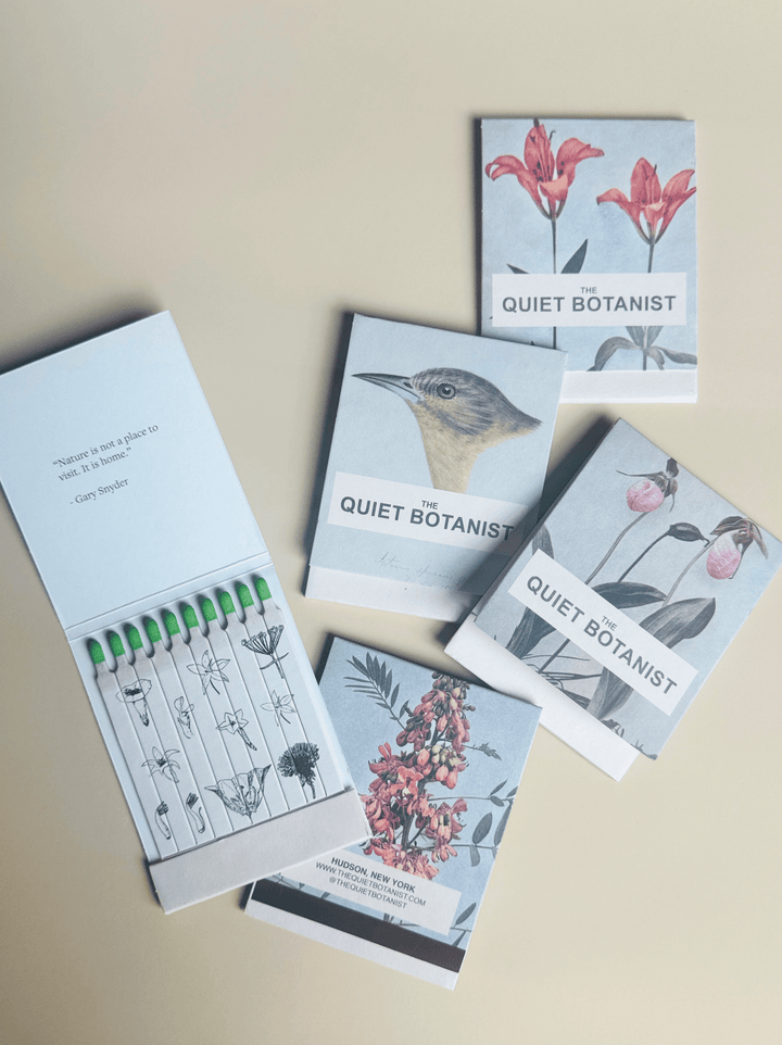 Day Lily - Botanical Matches - Limited Edition - Meadow Collectivematches