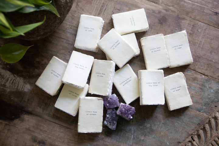 Deckled Edge Little Book Of Collection - Assorted - Meadow Collectivejournal