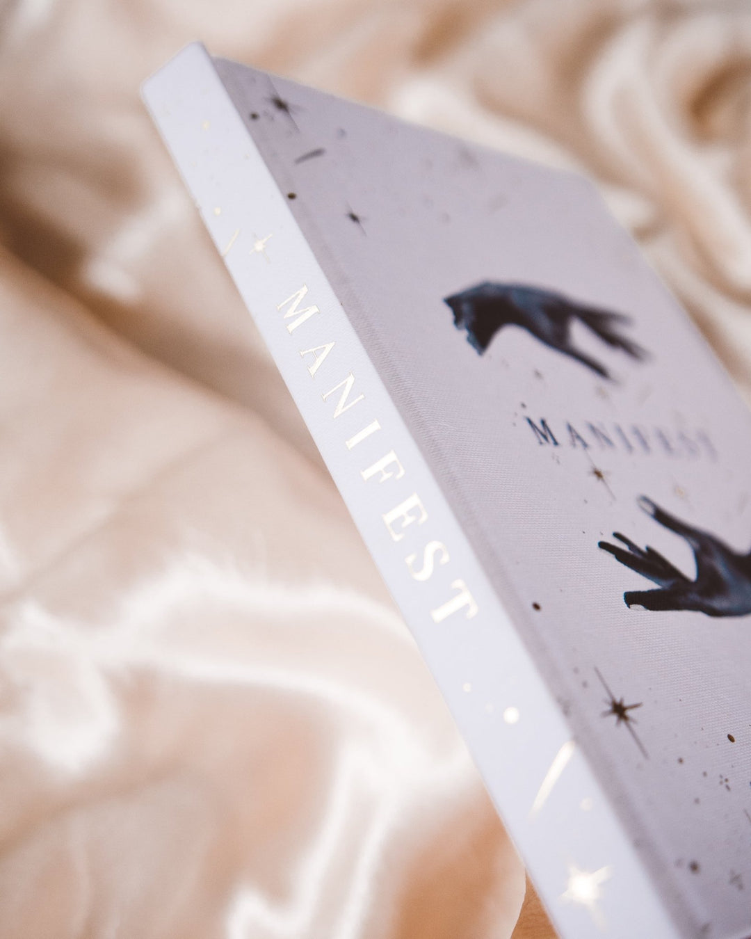 Manifest Book by Dreamy Moons - Meadow Collectivebook