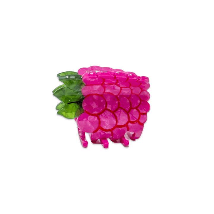 Mini Raspberry Hair Claw Clip - Meadow Collectivehair claw clip