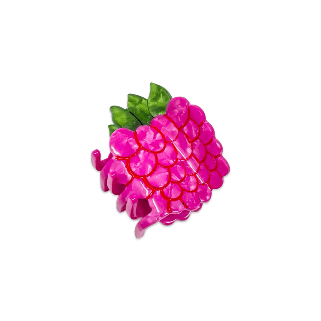 Mini Raspberry Hair Claw Clip - Meadow Collectivehair claw clip