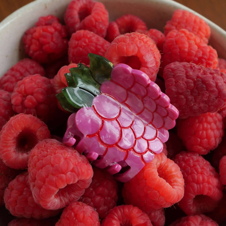 Mini Raspberry Hair Claw Clip - Meadow Collectivehair claw clip