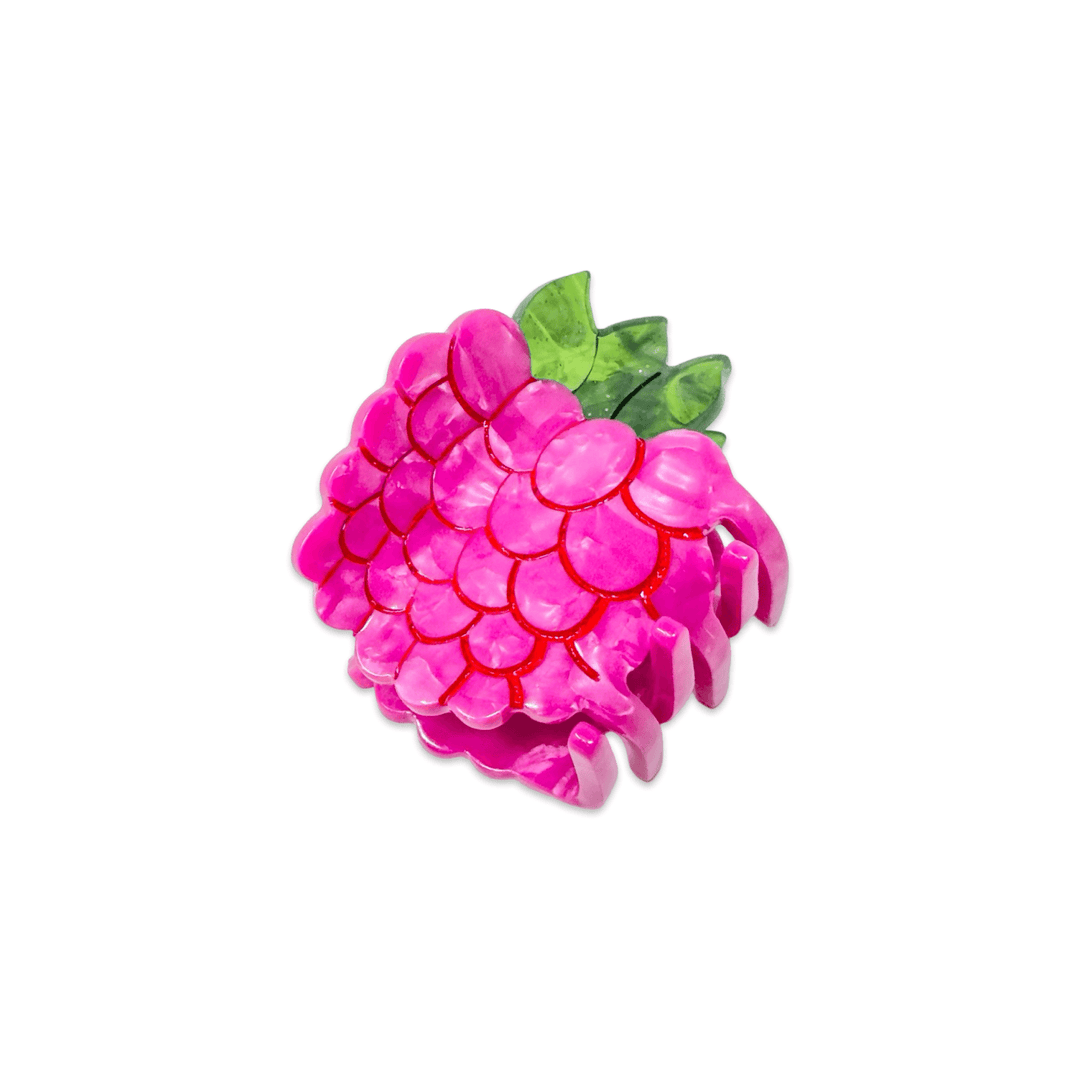 Mini Raspberry Hair Claw Clip - Meadow Collectivehair claw clip