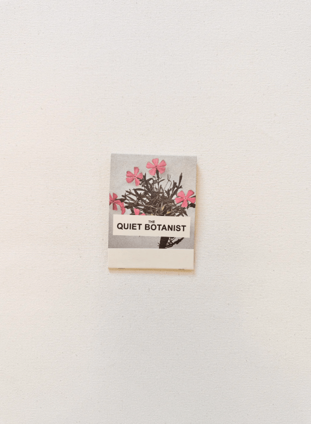 Orchard Sun Candle - Meadow Collectivecandle