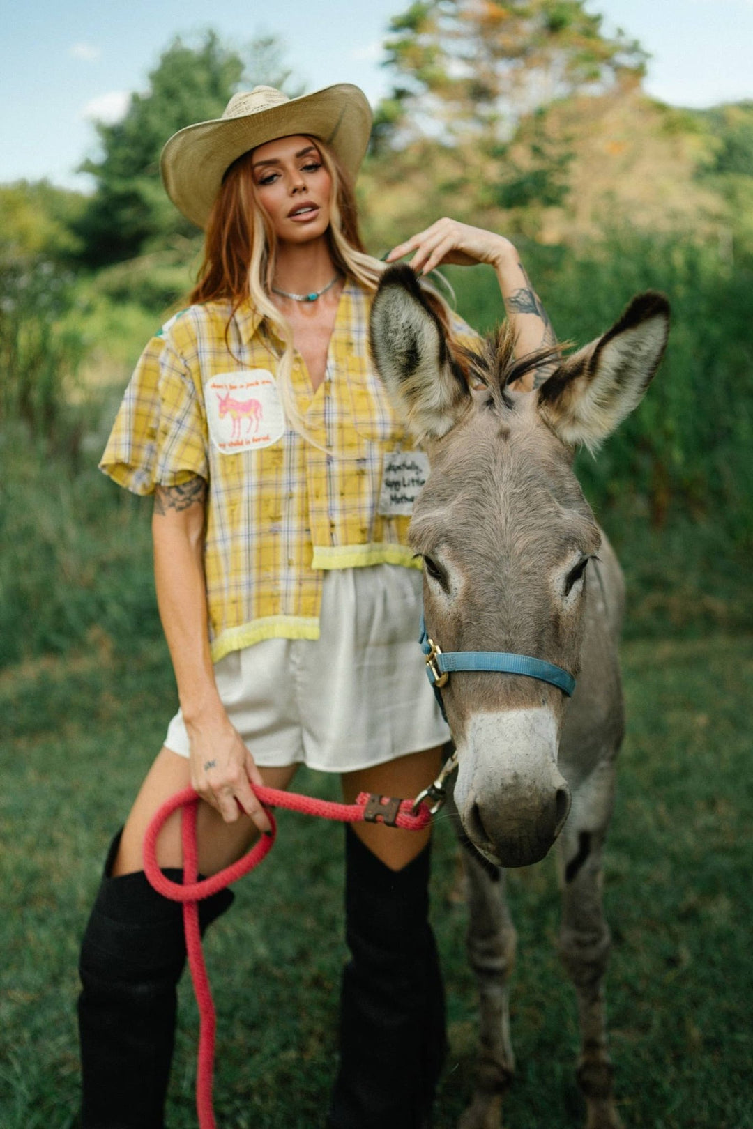 RESPECTFULLY, The Donkey - Meadow Collectivebutton down shirt
