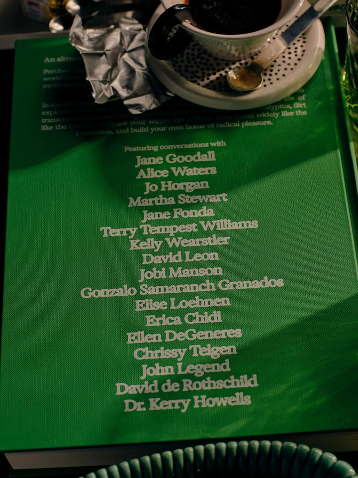 The Guide to Becoming Alive Book - Flamingo Estate - Meadow Collectivebook