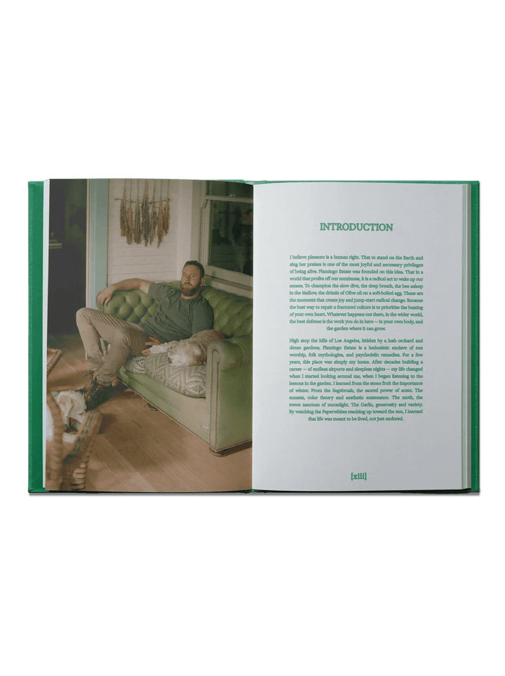 The Guide to Becoming Alive Book - Flamingo Estate - Meadow Collectivebook