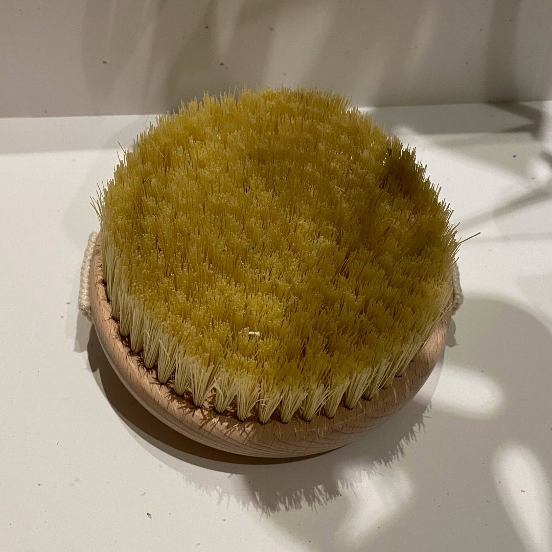 Vegan Cactus Bristle Dry Body Brush - Sustainable, Sculpting - Meadow Collectivedry brush