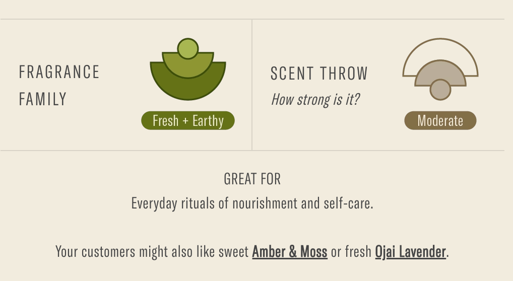 Wild Herb Tonic - Incense - Meadow Collectiveincense